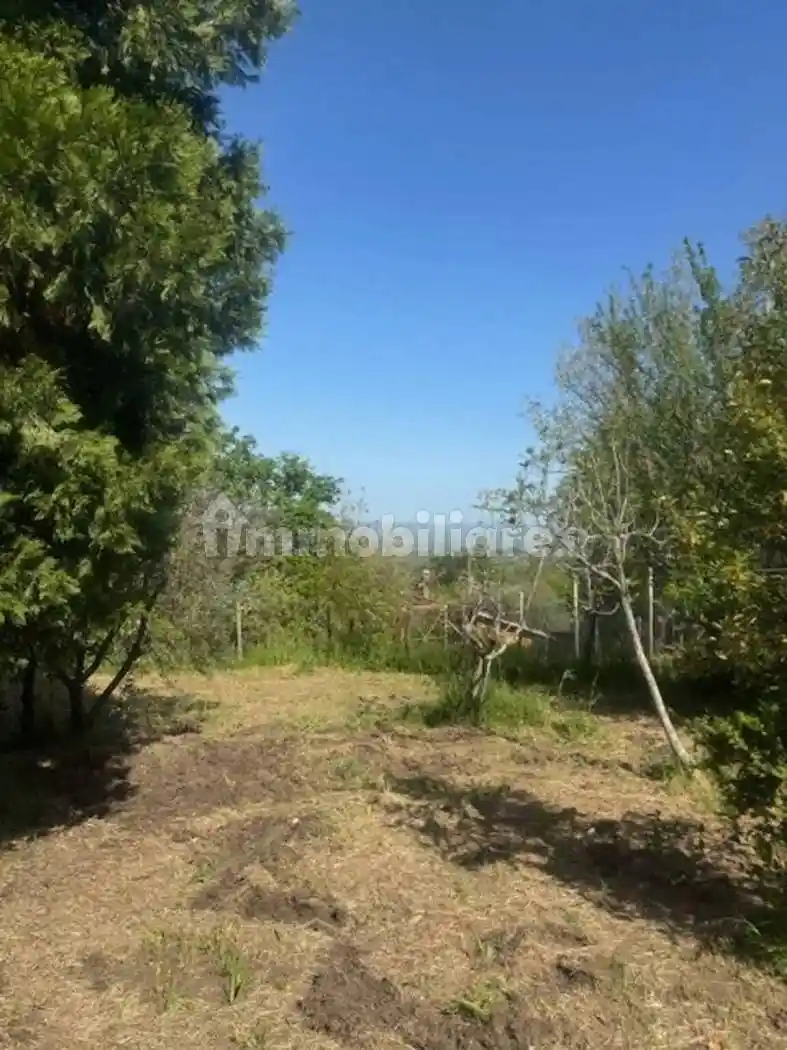 Cascina Strada Costa Volpara No Number, Bagnaia - La Quercia, Viterbo - foto 3