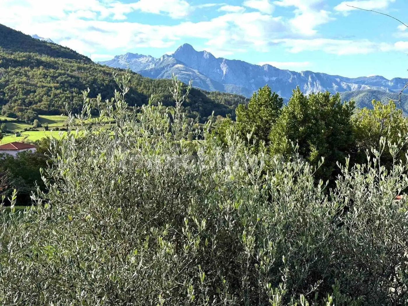 Terratetto unifamiliare 175 m², buono stato, Centro, Casola in Lunigiana - foto 3