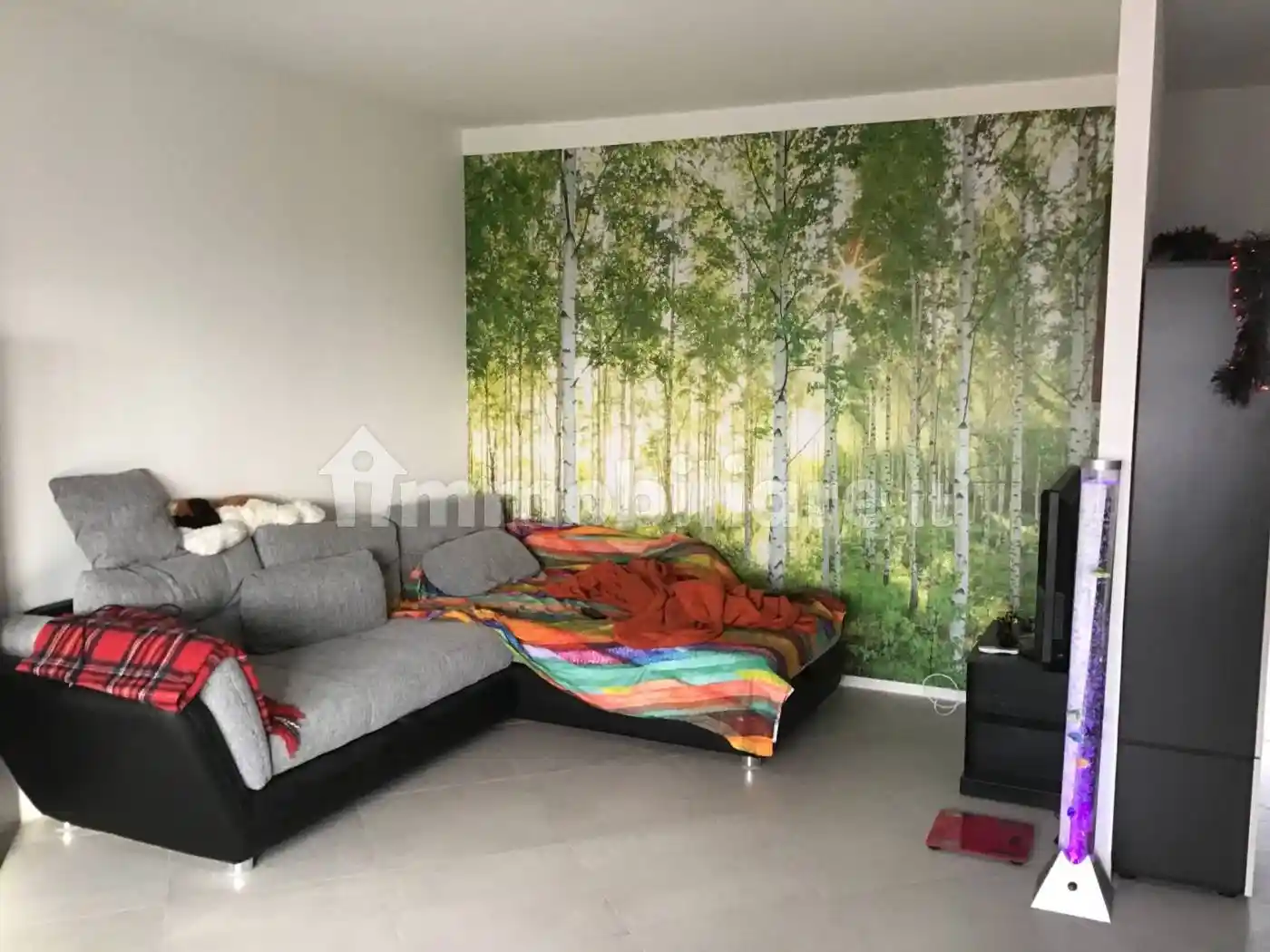 Quadrilocale buono stato, quinto piano, Via Martignacco, Udine - foto 4