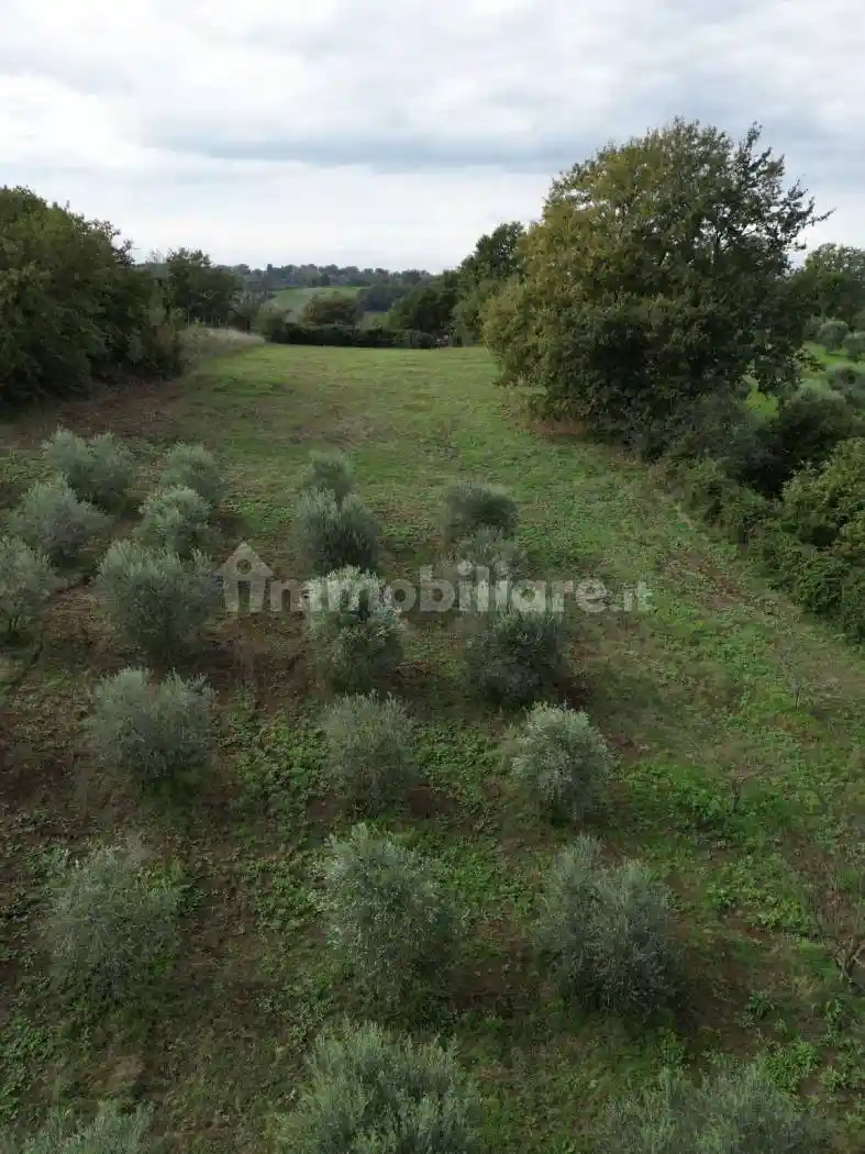 Terratetto unifamiliare via Provinciale Civitellese 4, Civitella San Paolo - foto 4