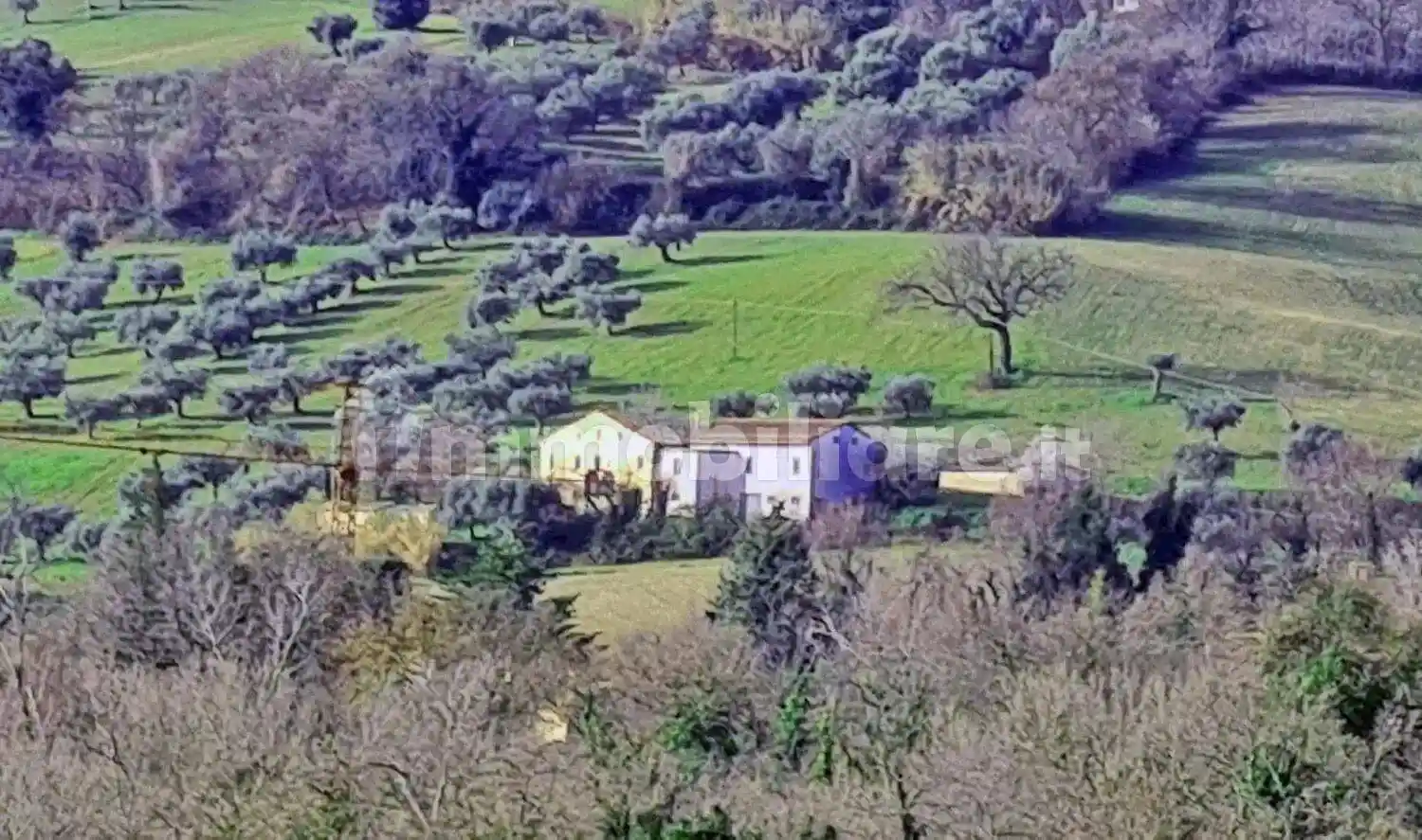 Rustico - Casale in vendita a Cingoli