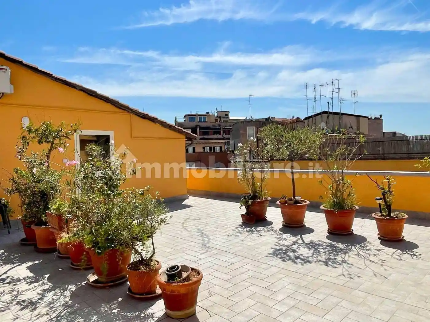 Attico via Luigi Calamatta, Prati, Roma - foto 2