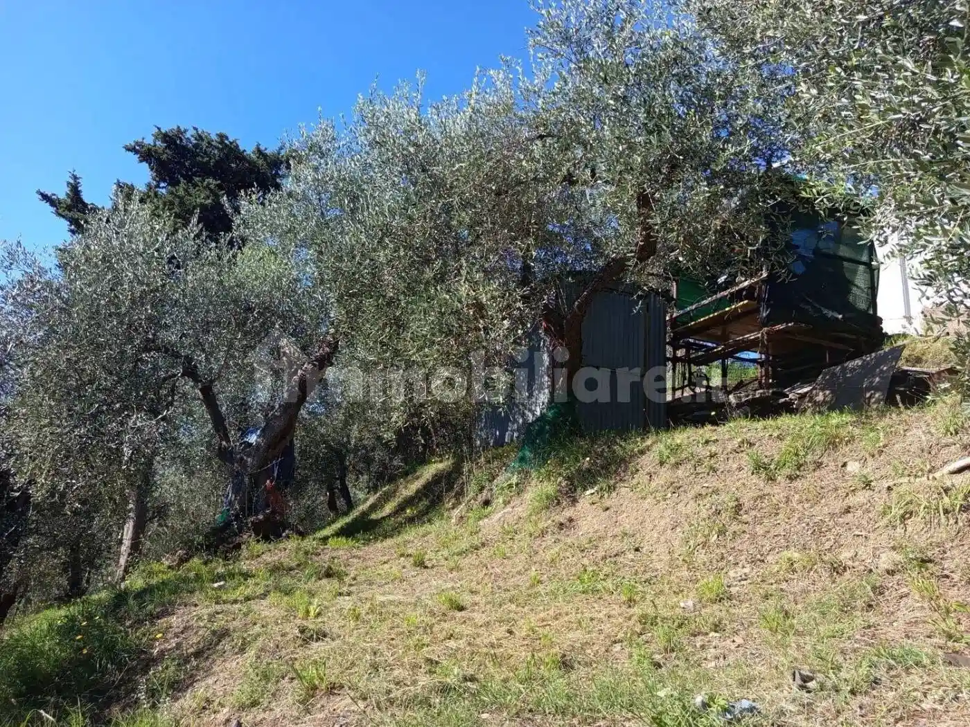 Villa unifamiliare Bargecchia No Number, Bargecchia, Corsanico, Massarosa - foto 4