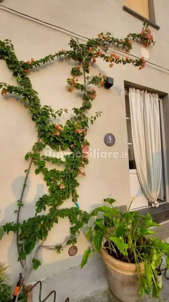 Villa unifamiliare Corsanico No Number, Bargecchia, Corsanico, Massarosa - foto 2