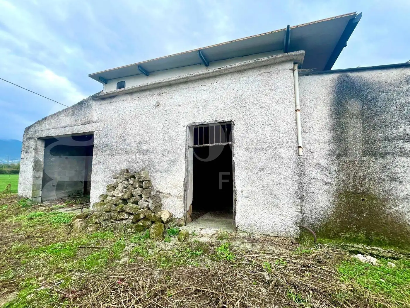 Masseria via Scafa, snc, Alife - foto 2