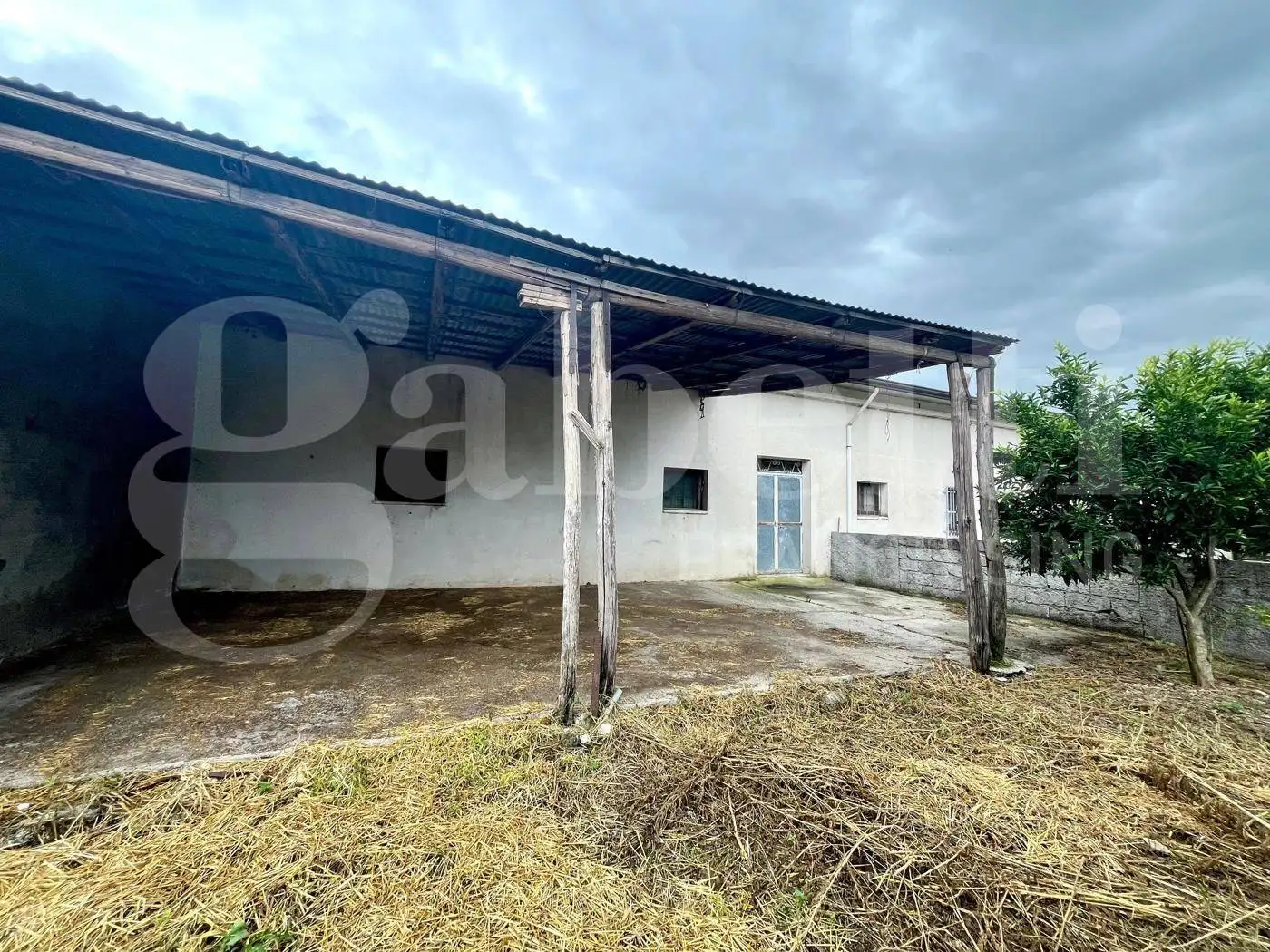 Masseria via Scafa, snc, Alife - foto 4