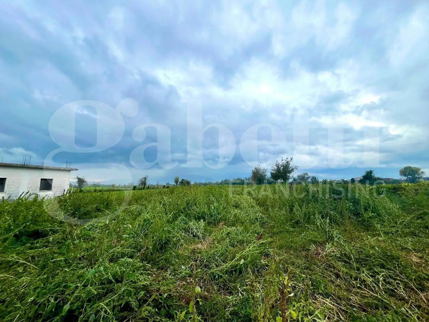 Masseria via Scafa, snc, Alife - foto 5