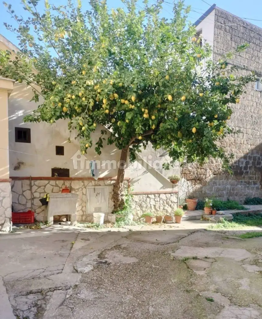 Appartamento in affitto a Caserta