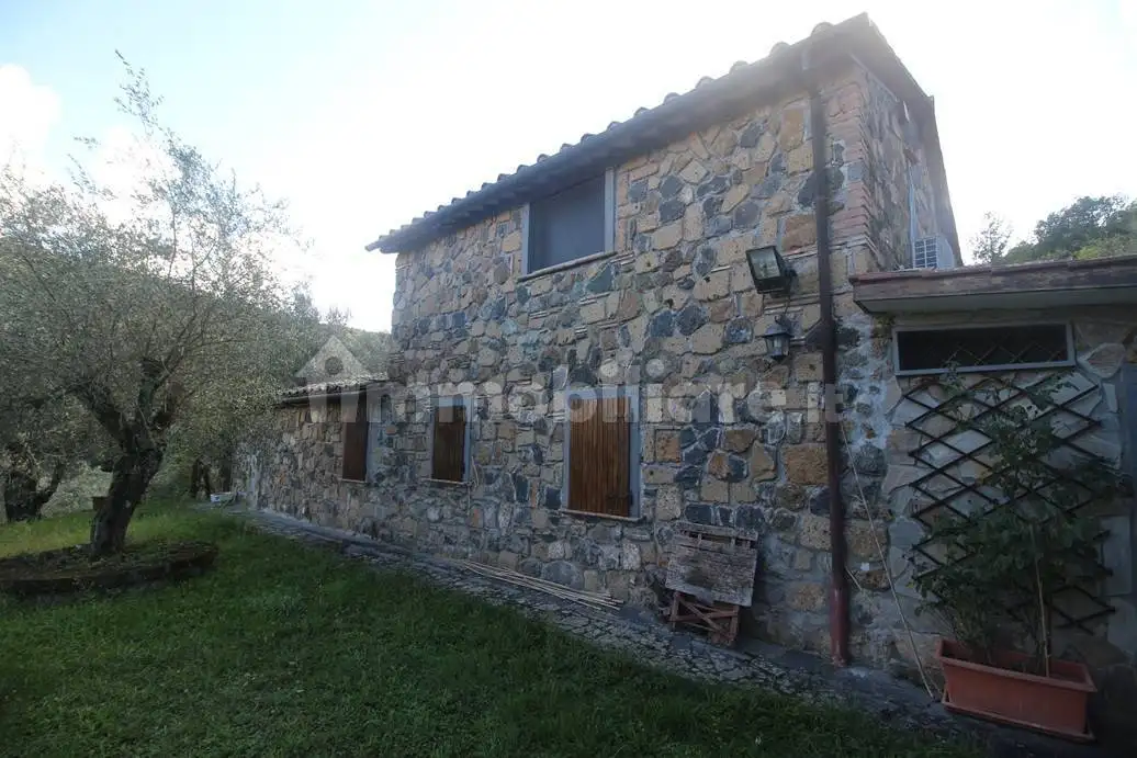 Casale, ottimo stato, 240 m², Bagnoregio - foto 2