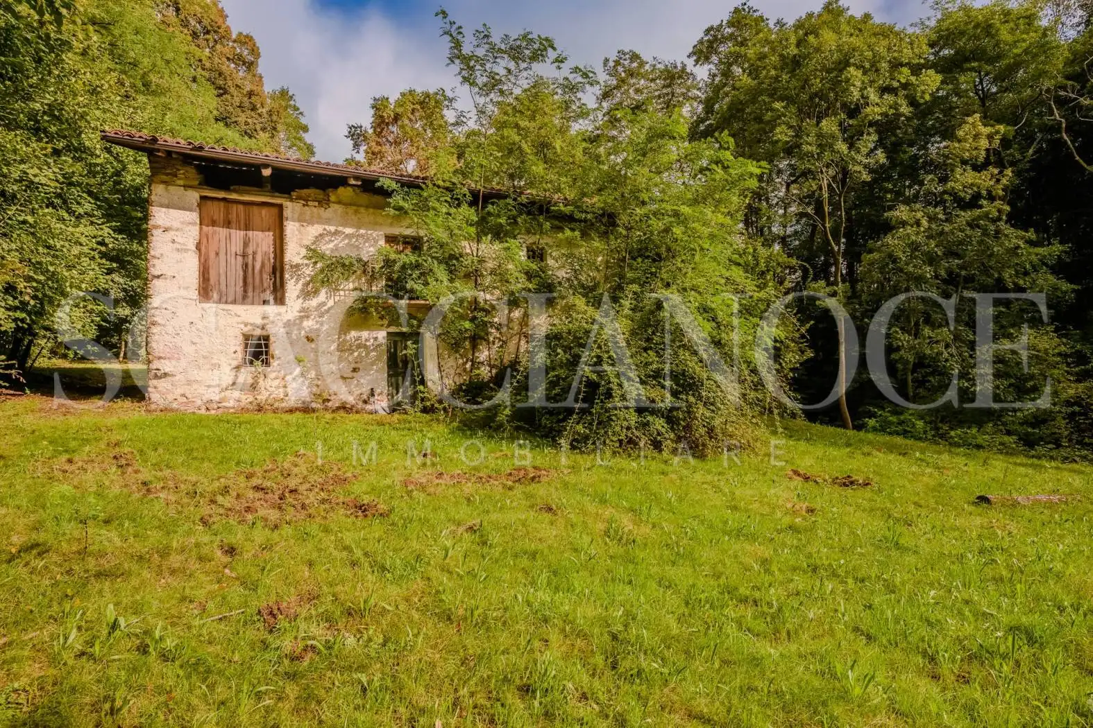 Rustico - Casale in vendita a Pralungo