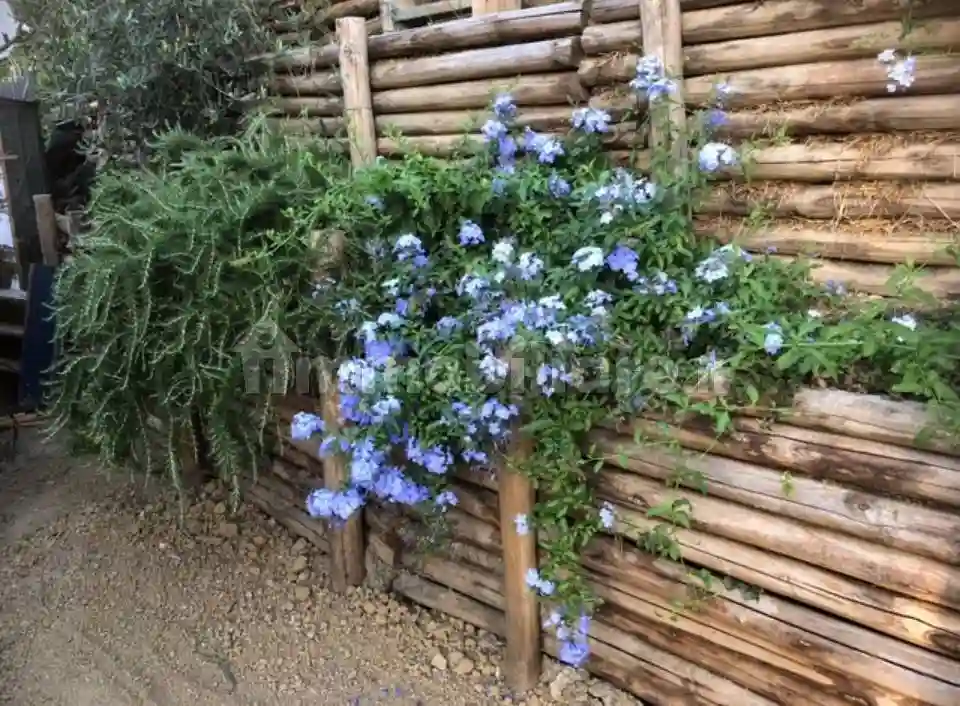 Villa bifamiliare via del Monte 21, Caprigliola, Aulla - foto 4