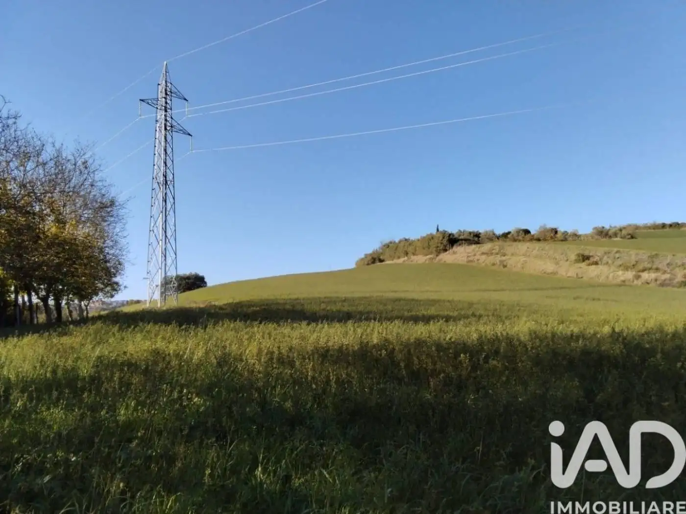 Rustico - Casale in vendita a Mondavio