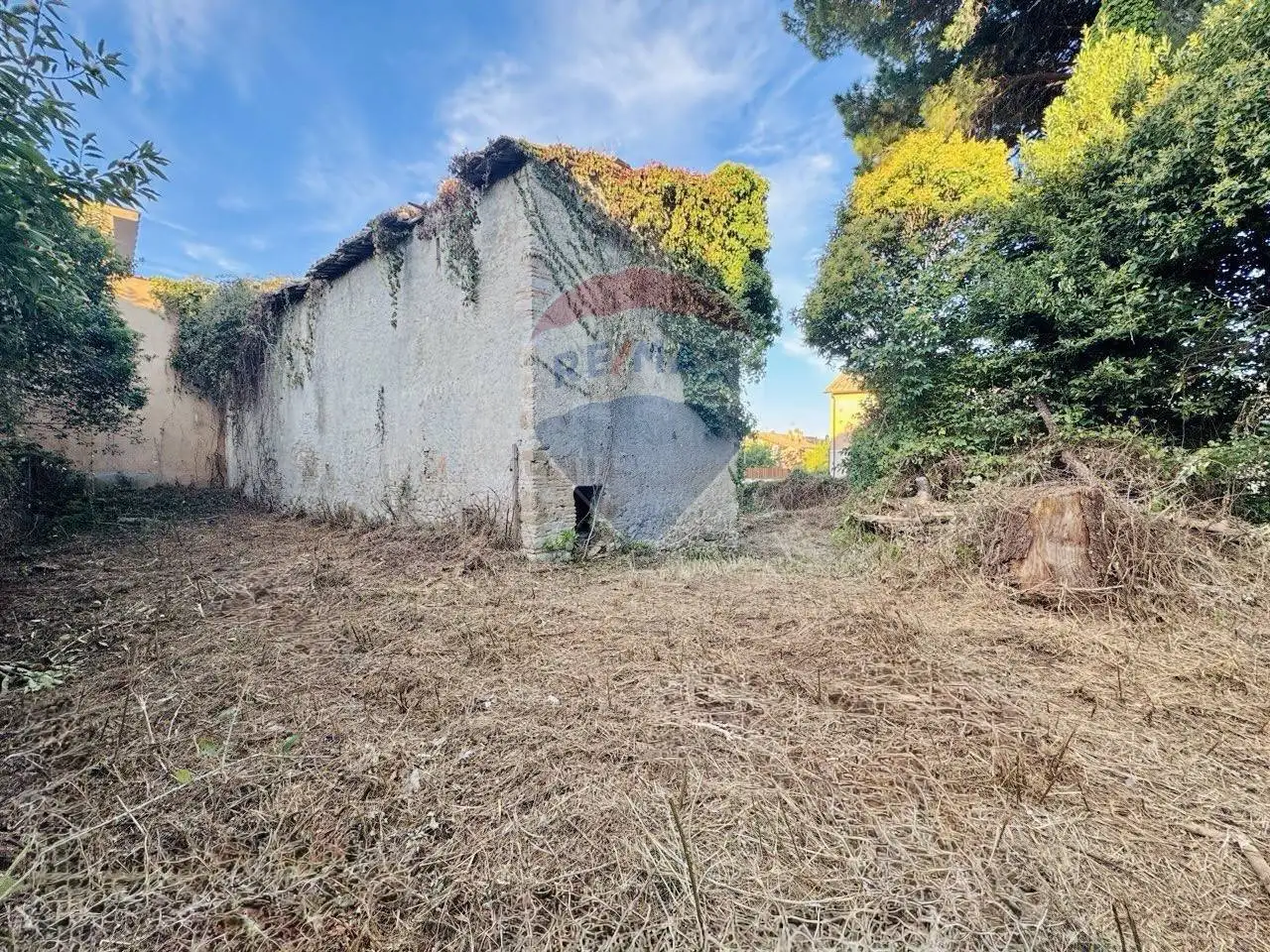 Rustico - Casale in vendita a Manziana