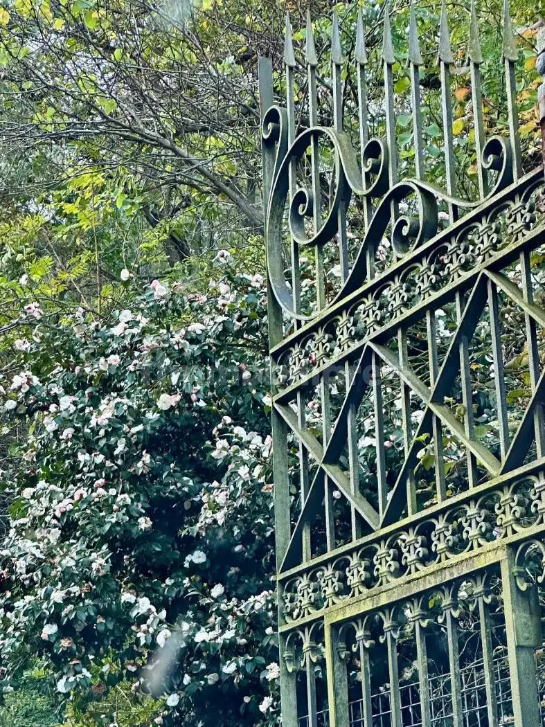 Palazzo - Edificio in vendita a Prato Sesia