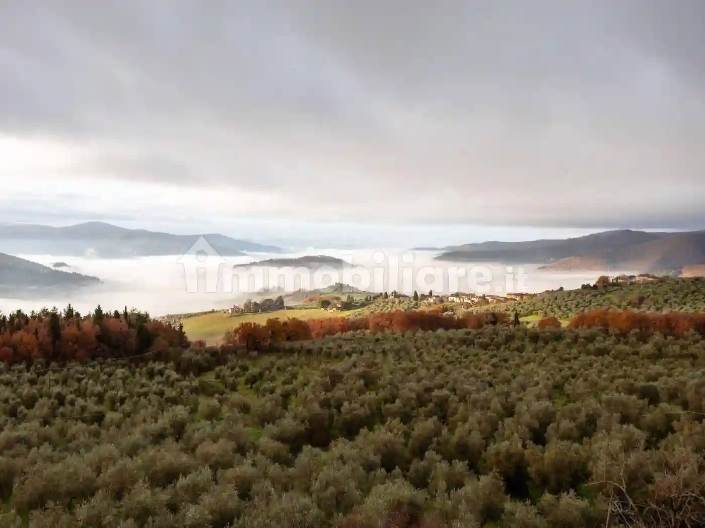 Rustico - Casale - foto 5