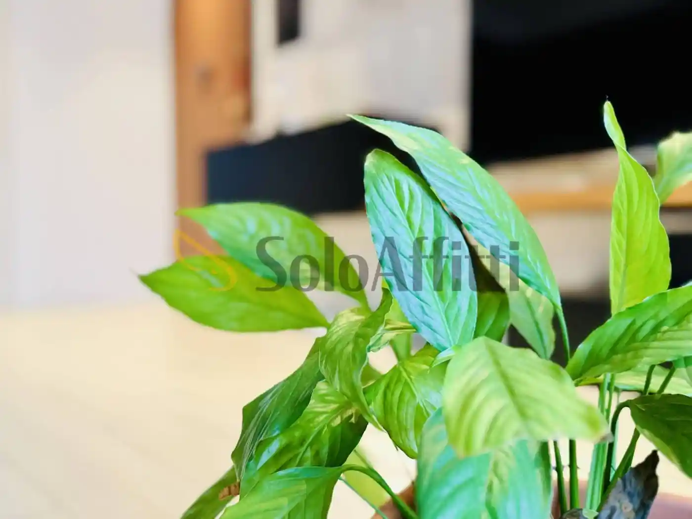 Trilocale via Ugo Tognazzi 3, Quartiere Adriano, Milano - foto 5