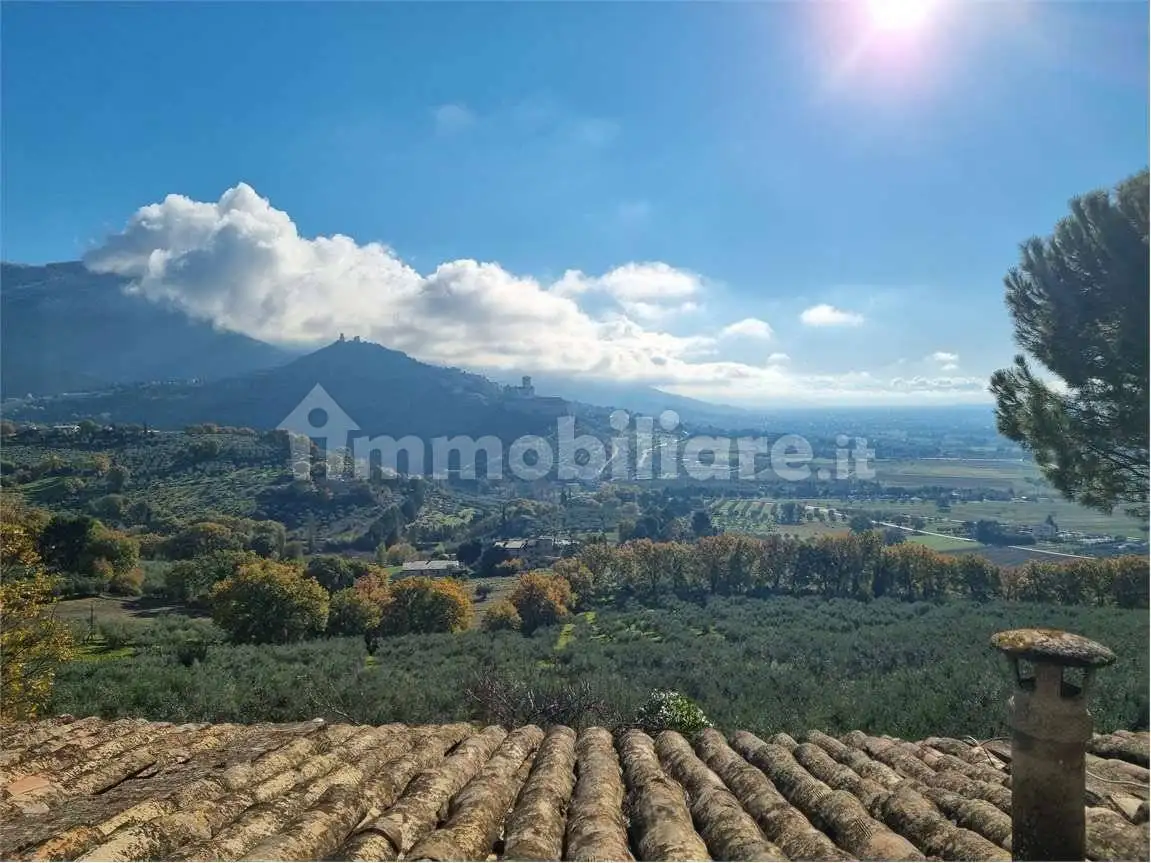 Appartamento in affitto a Assisi