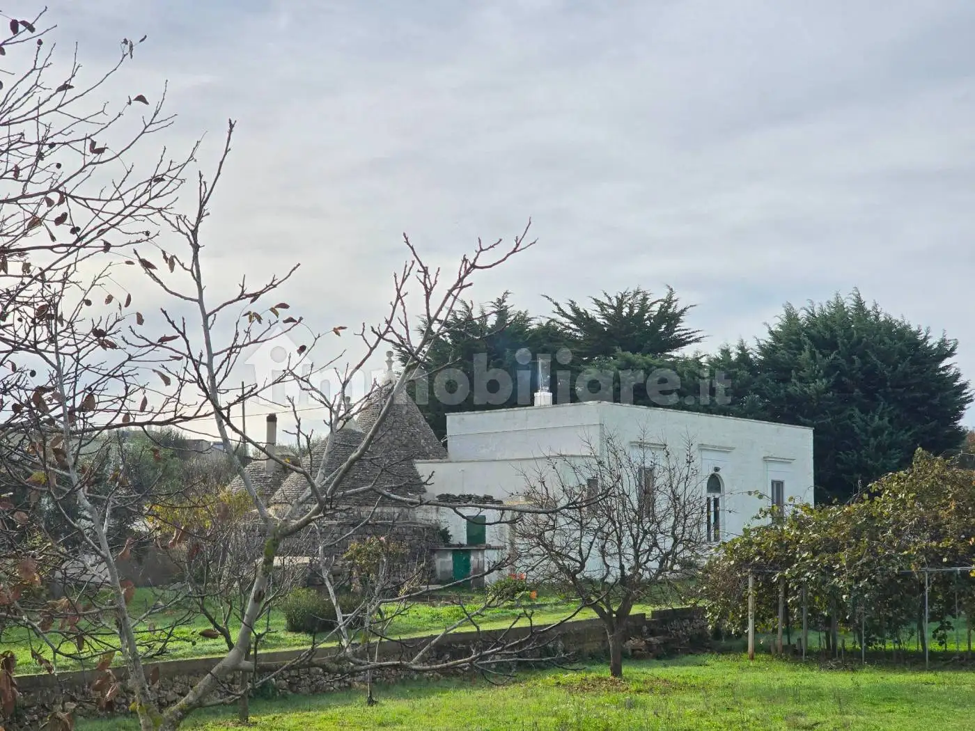 Casale viale Valle d'Itria, Centro, Cisternino - foto 4