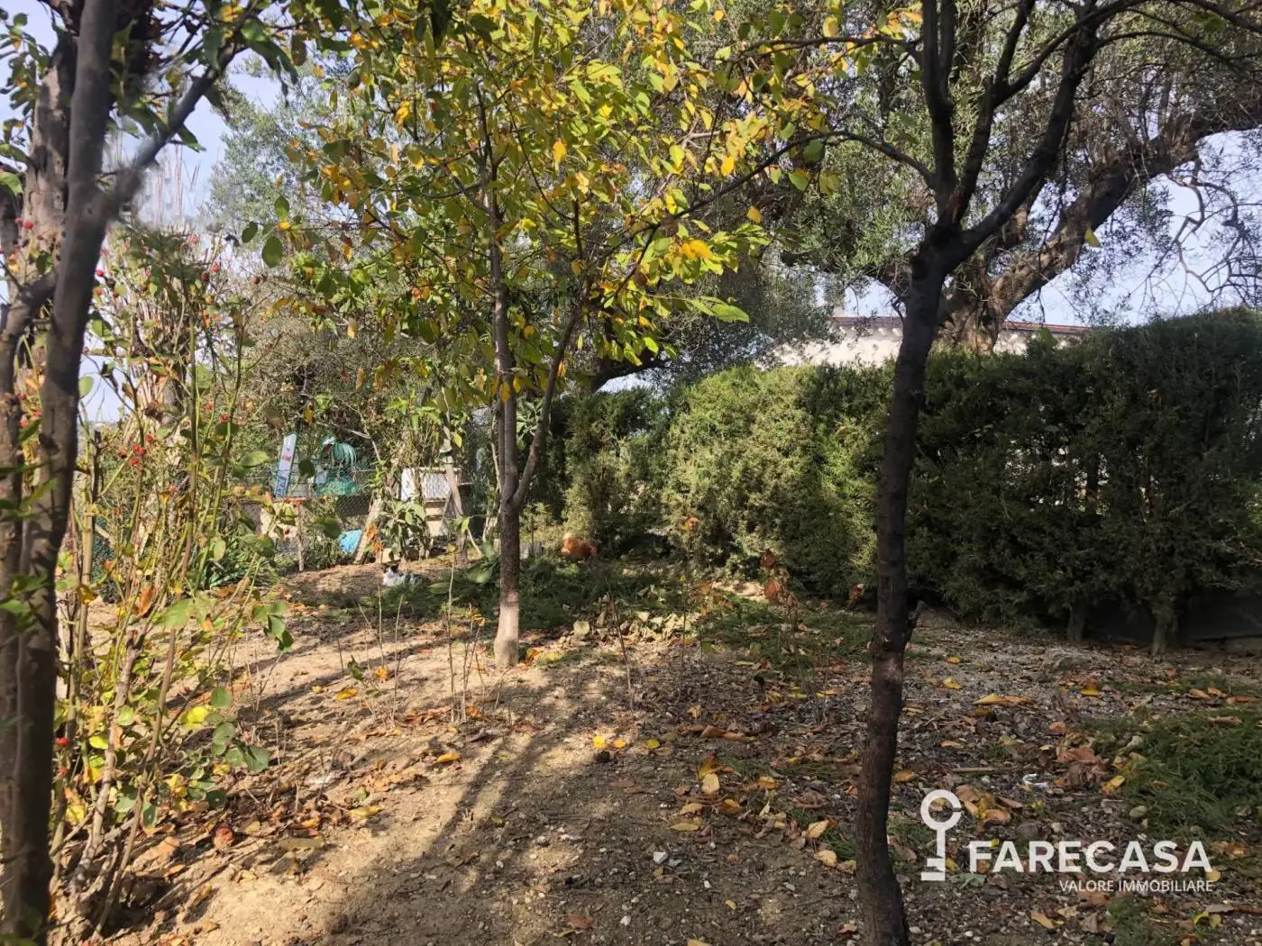 Terratetto unifamiliare via Federico Fellini 4, Bellante - foto 3