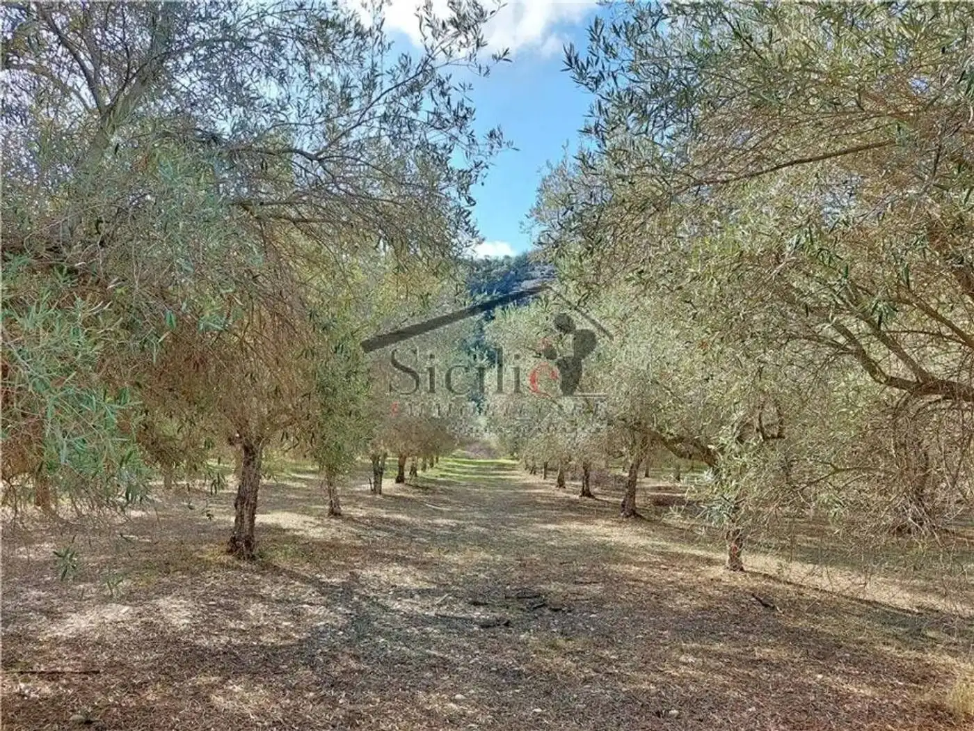 Rustico - Casale in vendita a Ragusa