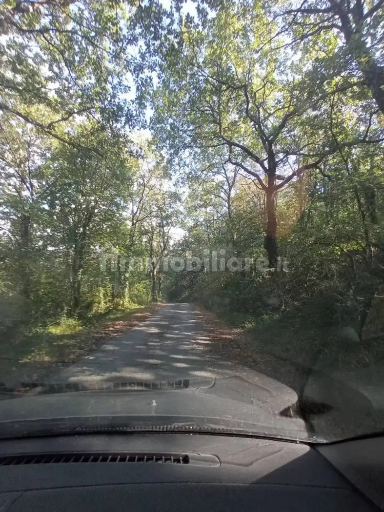 Cascina 480 m², Barberino di Mugello - foto 2