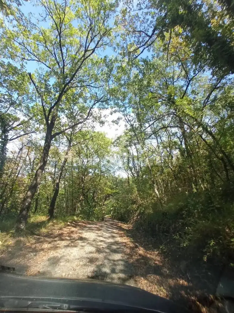 Cascina 480 m², Barberino di Mugello - foto 3