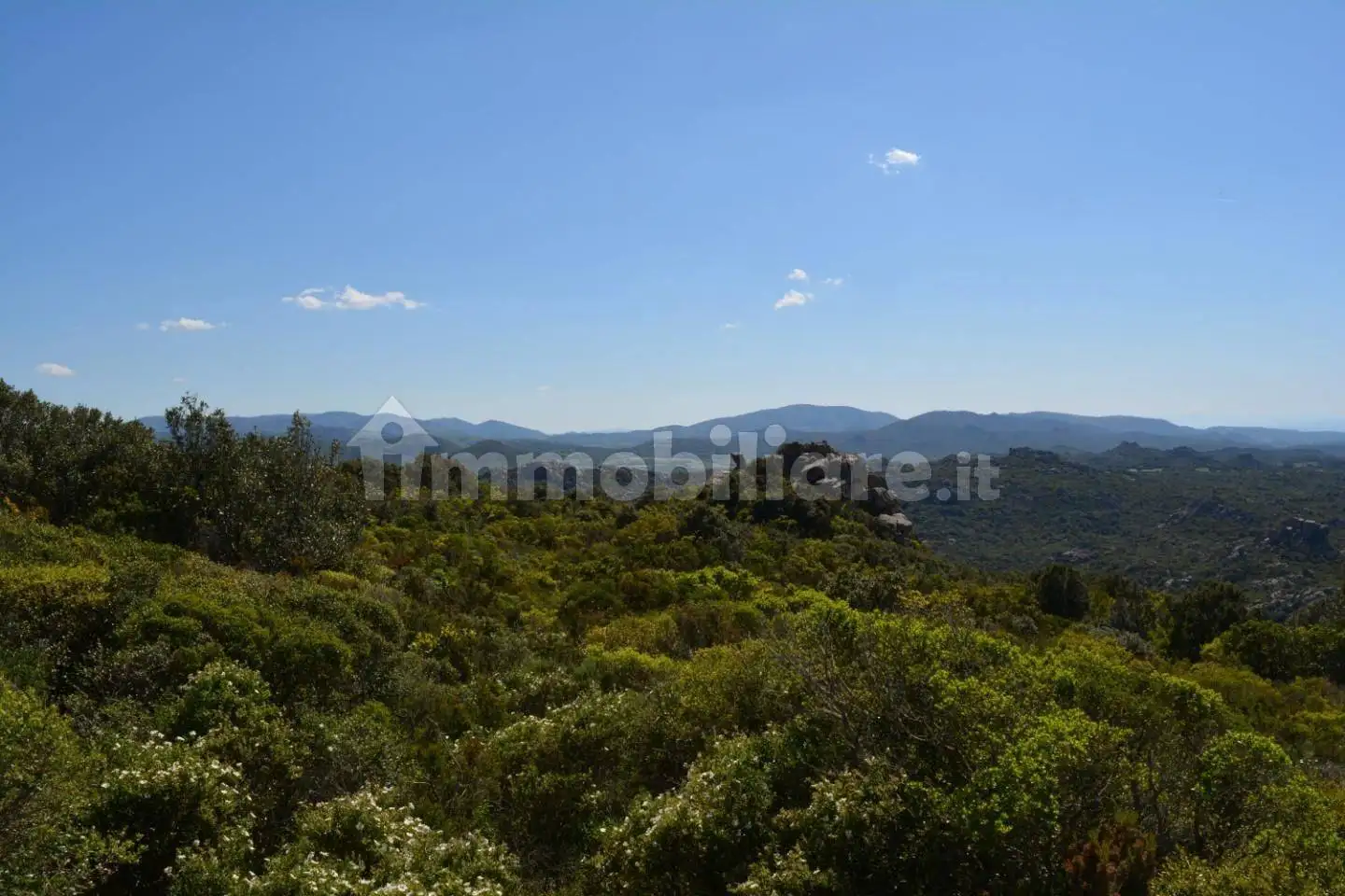 Rustico - Casale in vendita a Aggius