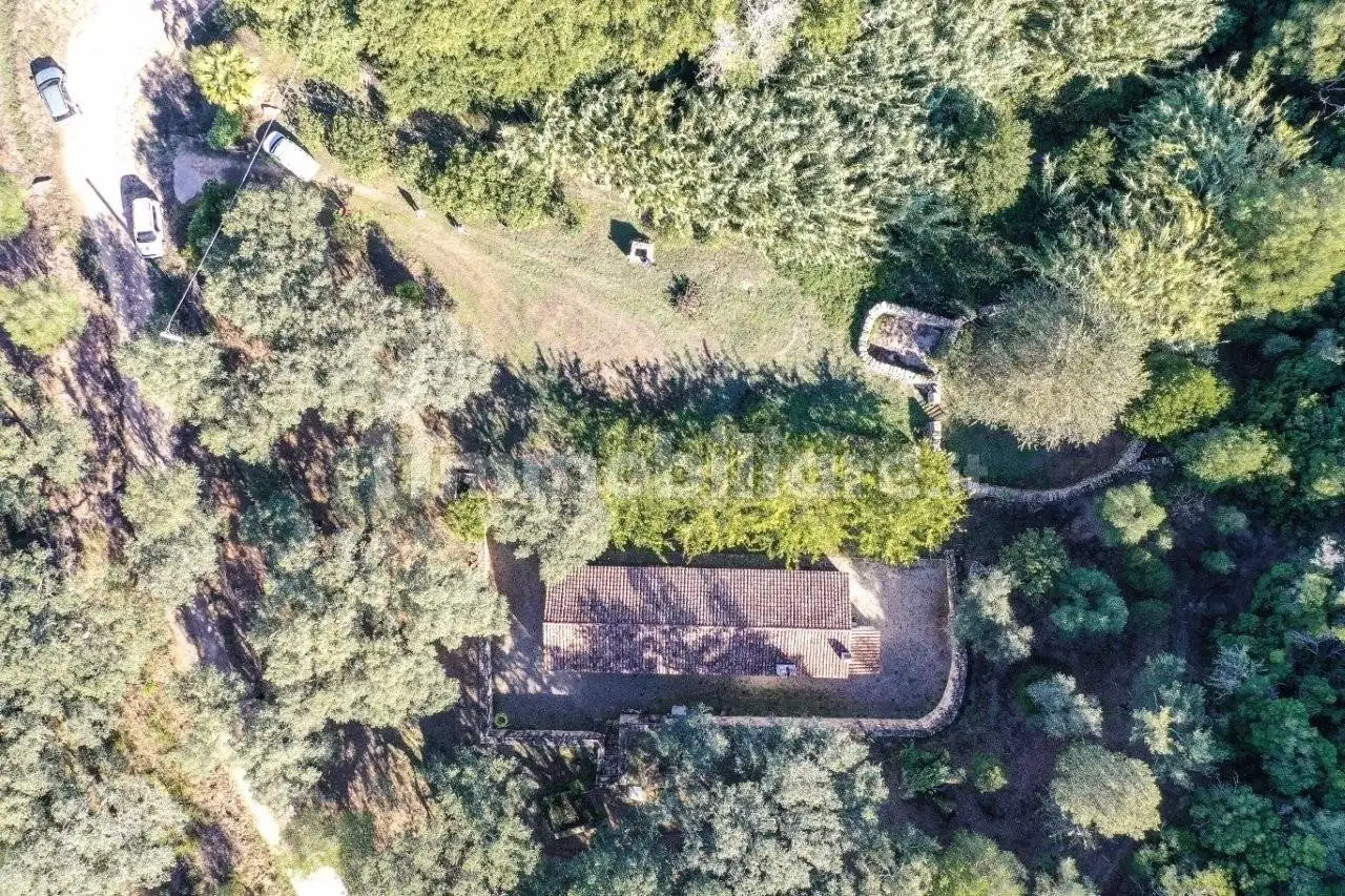 Rustico - Casale in vendita a Luogosanto