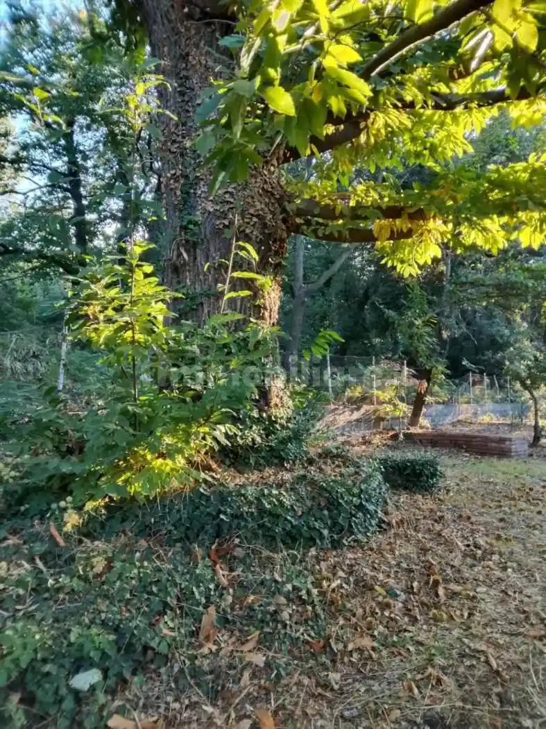 Villa in vendita a Belpasso