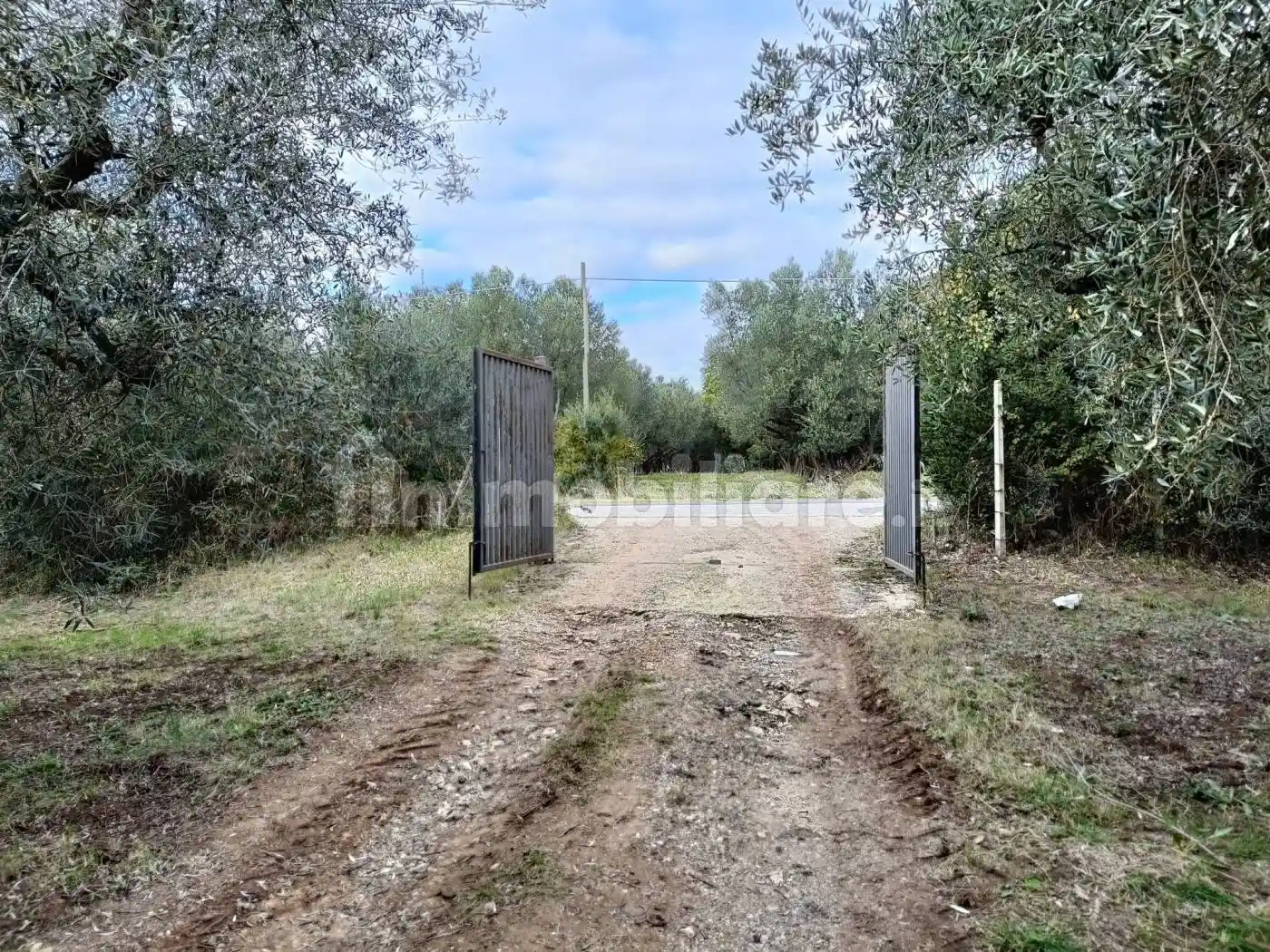 Trilocale Strada Tuscanese, Monterazzano, Viterbo - foto 2
