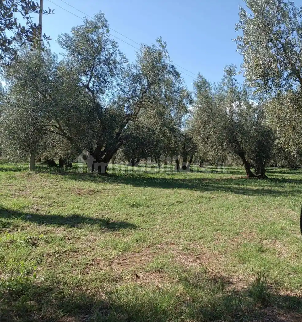 Trilocale Strada Tuscanese, Monterazzano, Viterbo - foto 3