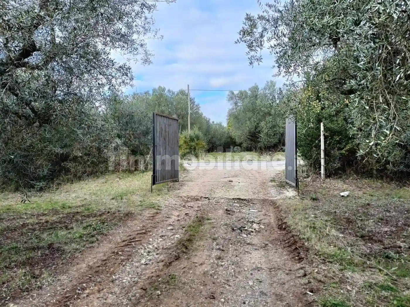 Trilocale Strada Tuscanese, Monterazzano, Viterbo - foto 4