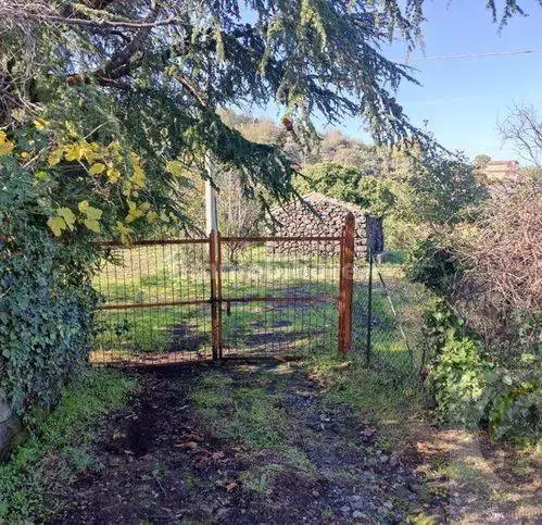Rustico - Casale in vendita a Piedimonte Etneo