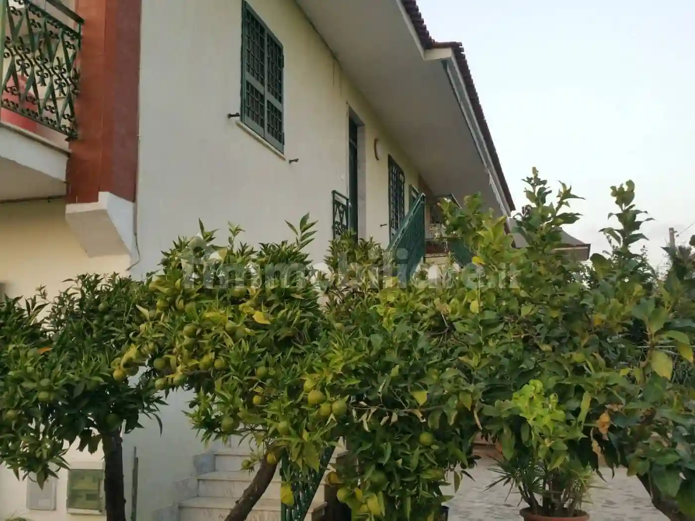 Villa bifamiliare Strada Provinciale Carinola 8, Carinola - foto 4