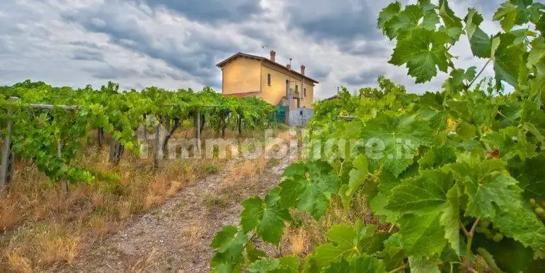 Rustico - Casale in vendita a Grottaferrata
