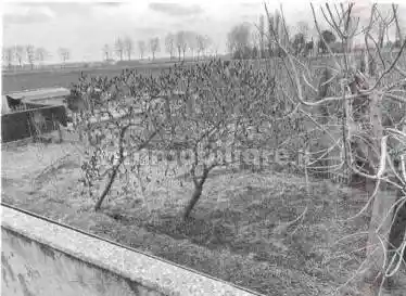 Villa all'asta via Canove, 2, Correzzola - foto 3