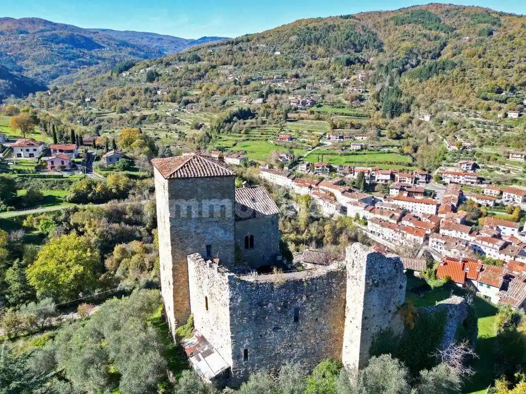 Villa in vendita a Castel San Niccolò