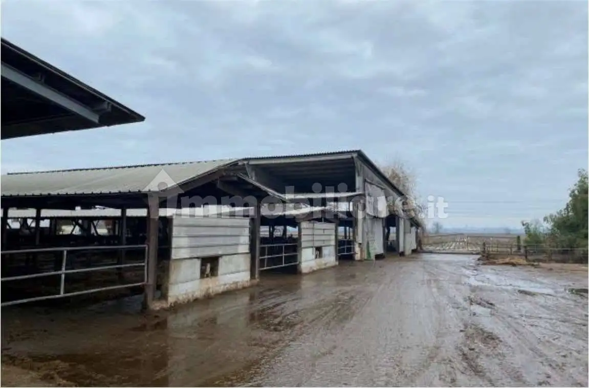 Rustico - Casale in asta a Senna Lodigiana