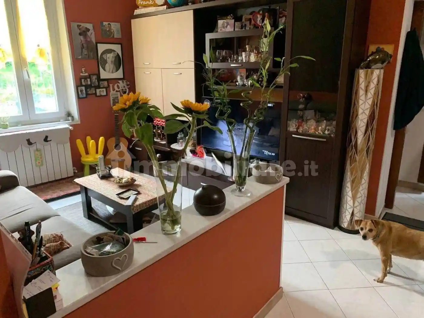 Trilocale ottimo stato, Rebocco - La Chiappa, La Spezia - foto 3