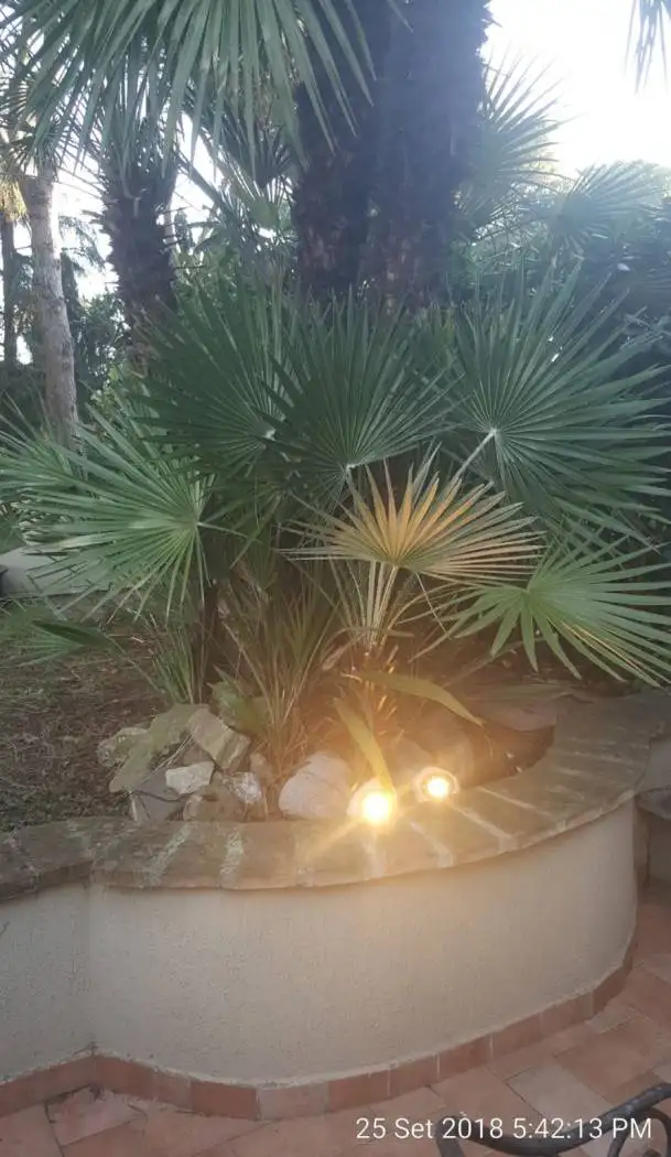 Loft in affitto a Roma