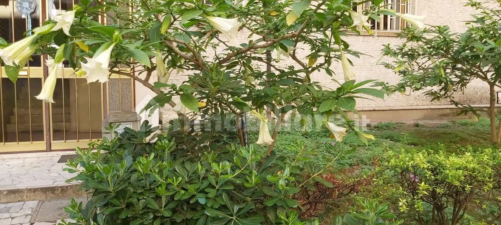 Trilocale via Filippo Meda 169, Monti Tiburtini, Roma - foto 3