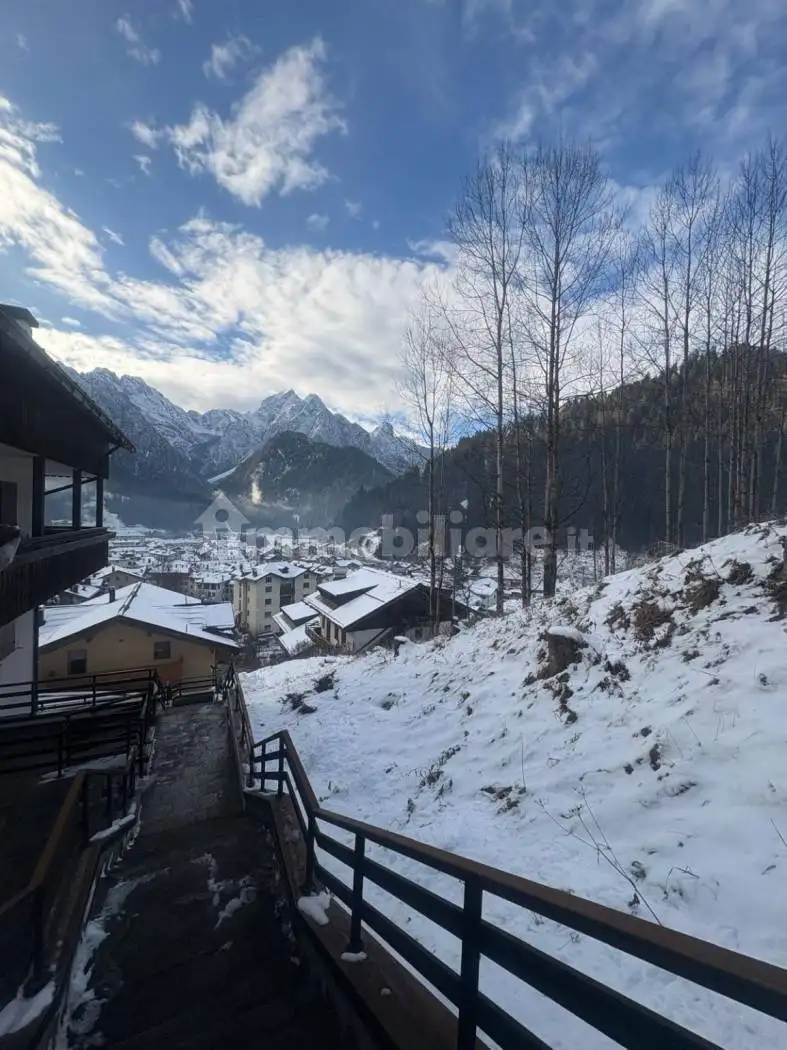 Appartamento in affitto a Santo Stefano di Cadore