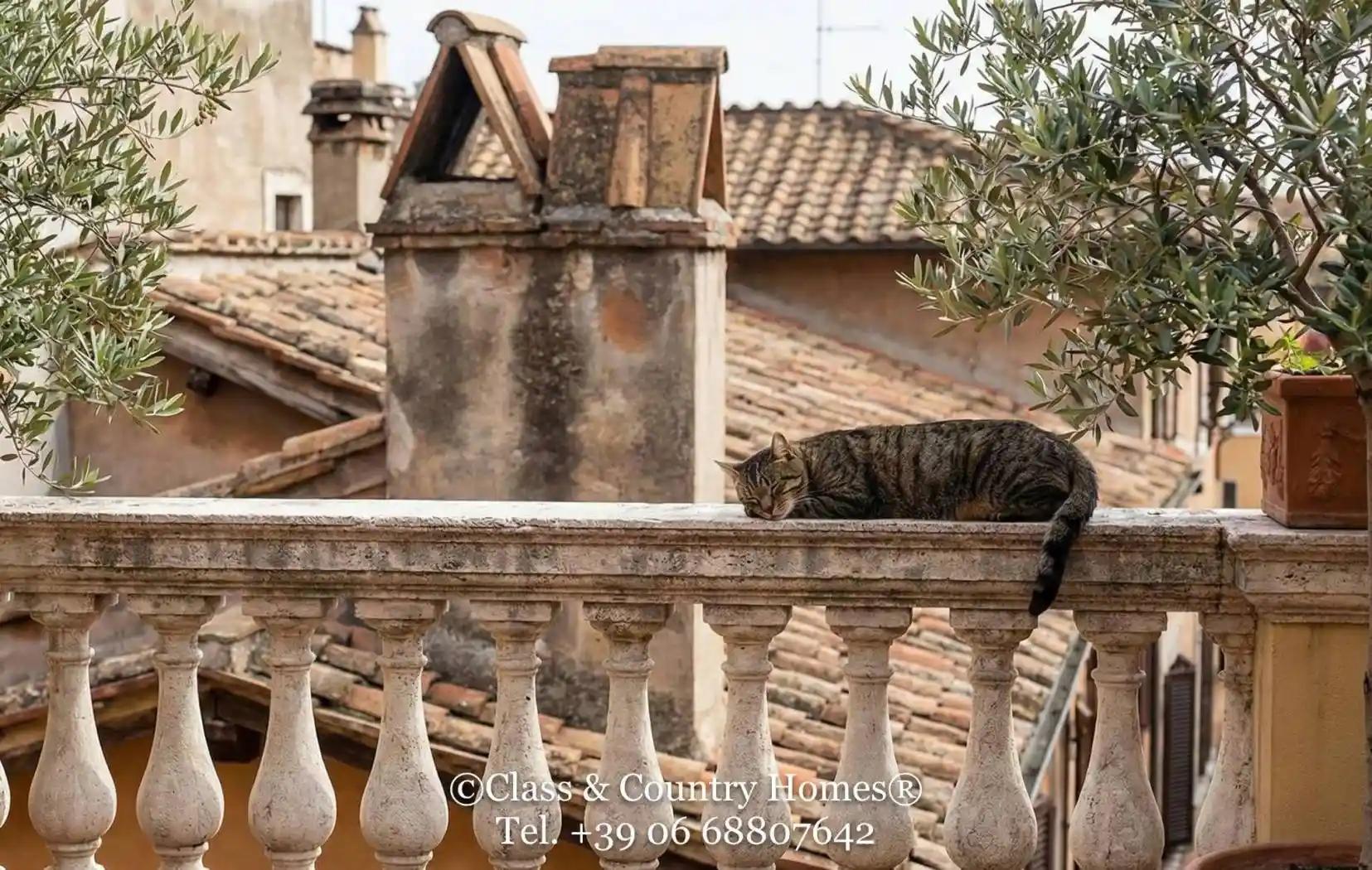 Attico via dei Falegnami, Largo Argentina, Roma - foto 4