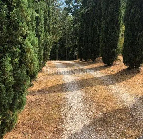 Rustico - Casale in vendita a Massa Marittima