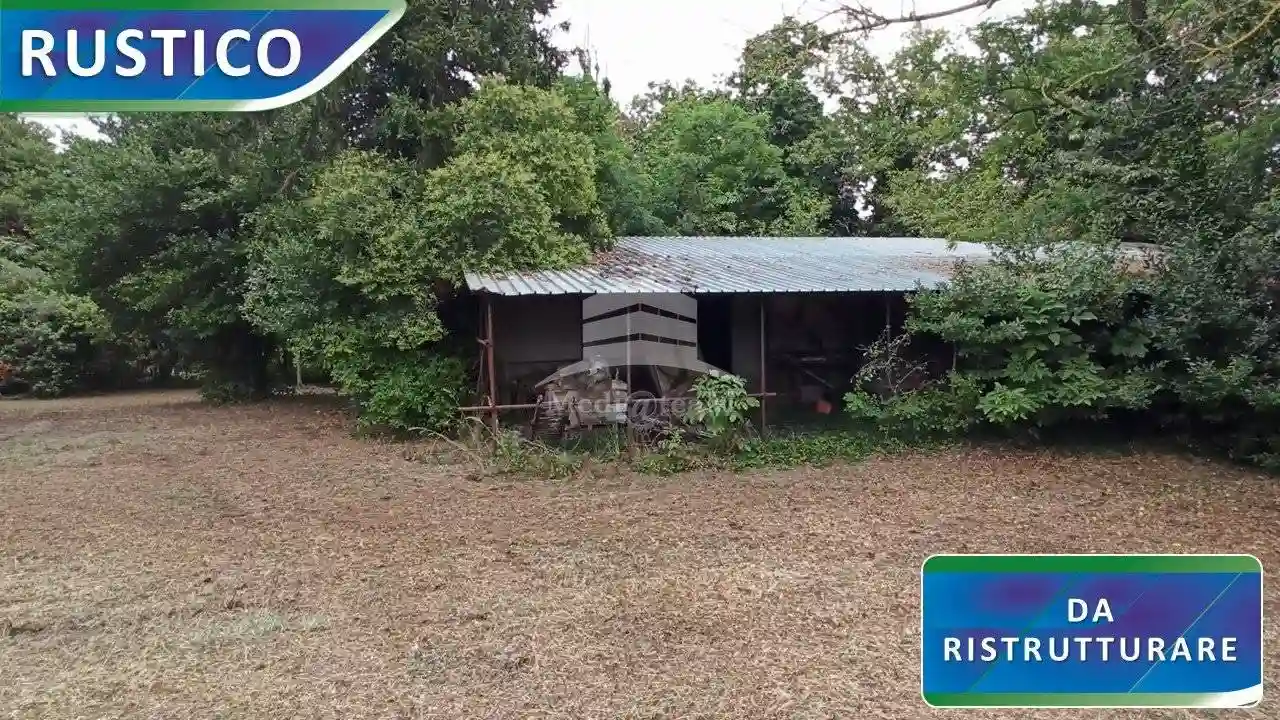 Rustico - Casale - foto 3