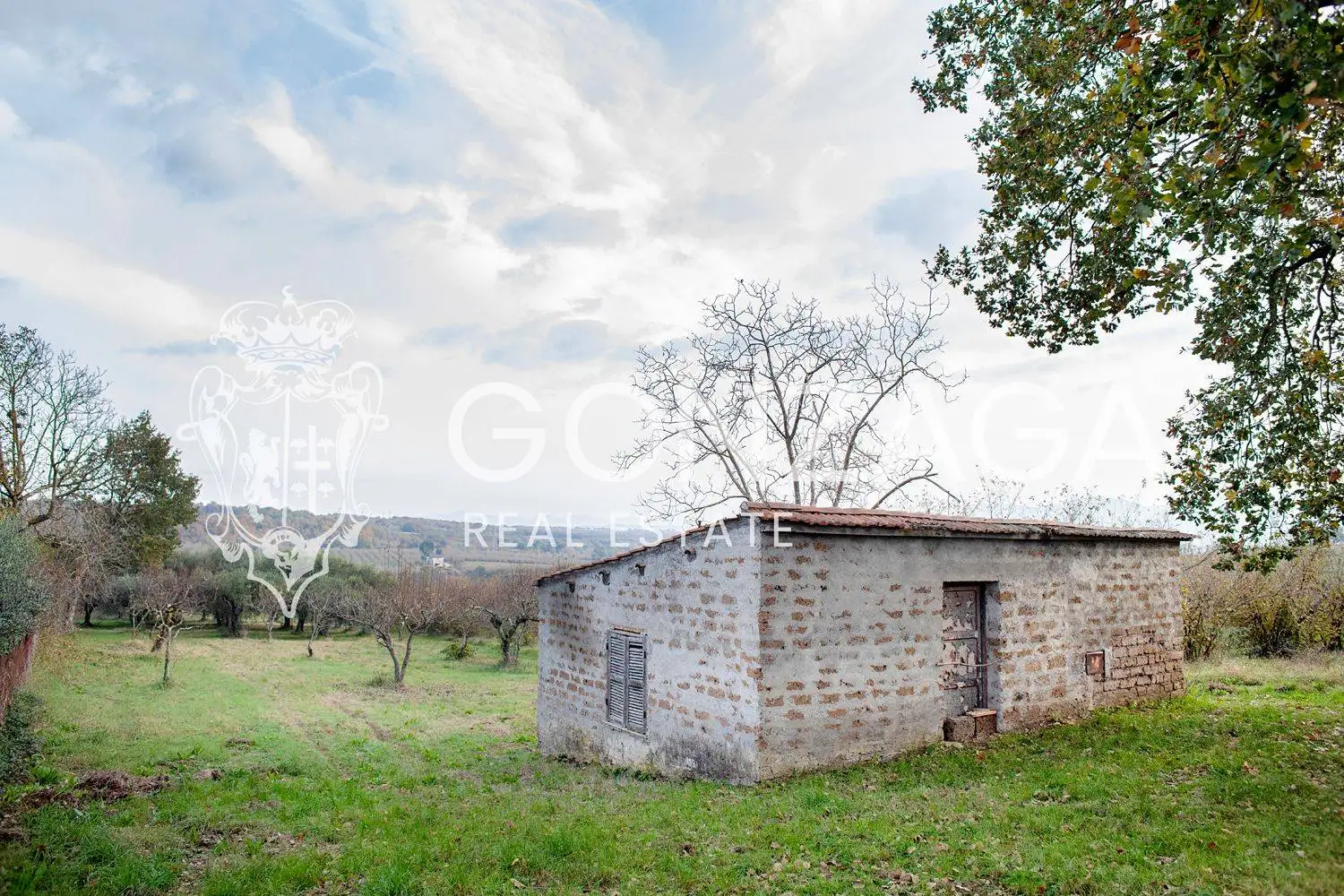 Rustico - Casale in vendita a Gallese