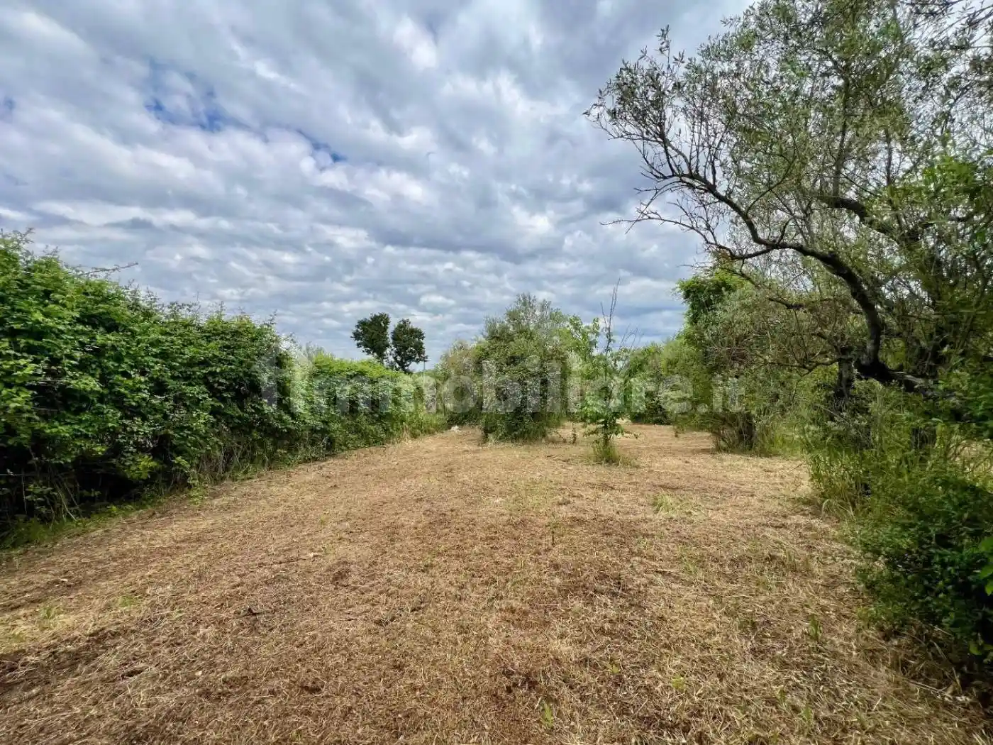 Rustico via Ficozzivoli, Poli - foto 4