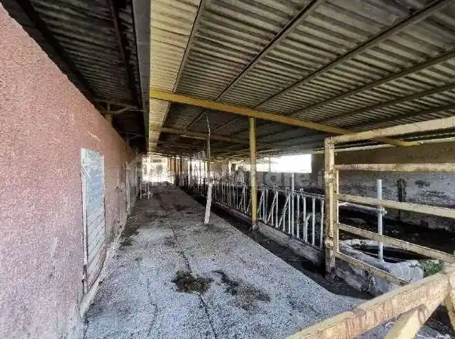 Rustico - casale all'asta Località Fianello, SNC, Montebuono - foto 4