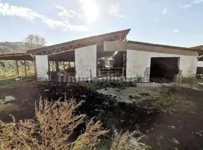 Rustico - casale all'asta Località Fianello, SNC, Montebuono - foto 5