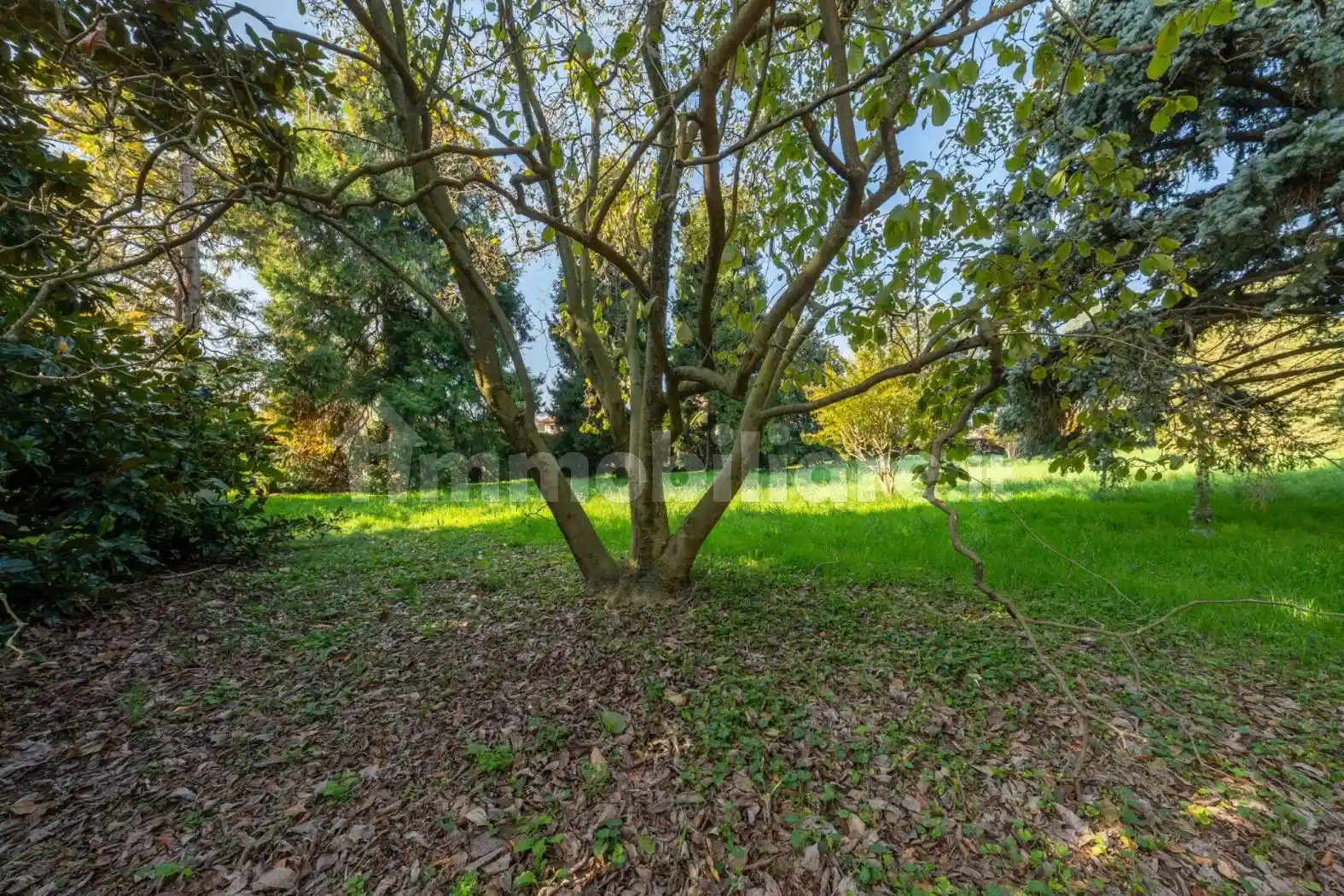 Villa unifamiliare corso John Fitzgerald Kennedy, San Paolo, Rivoli - foto 3